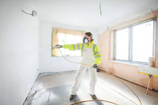 Best Basement Mold Removal  in Cornersville, TN