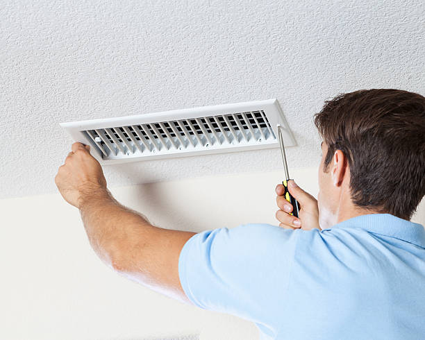 Best Basement Mold Removal  in Cornersville, TN