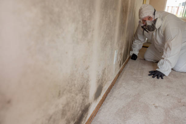 Best Commercial Mold Inspection  in Cornersville, TN